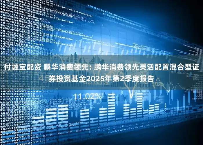 付融宝配资 鹏华消费领先: 鹏华消费领先灵活配置混合型证券投资基金2025年第2季度报告