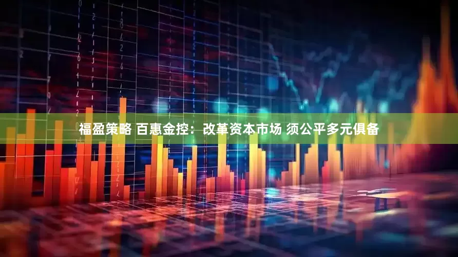 福盈策略 百惠金控：改革资本市场 须公平多元俱备